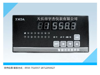 XMDA-9000智能巡回顯示調節(jié)儀